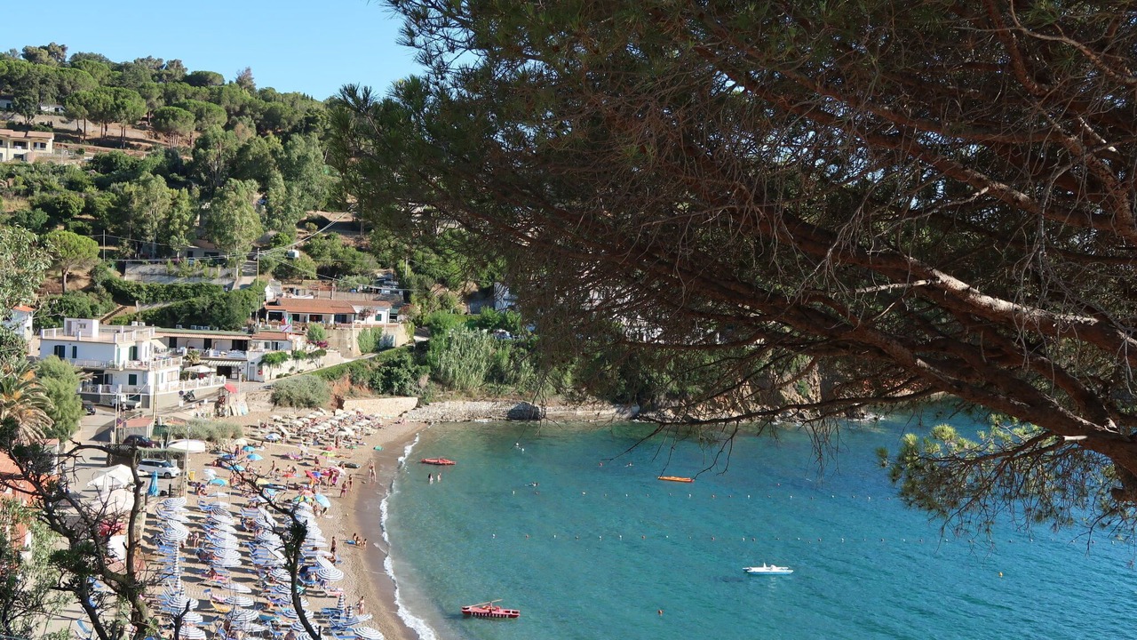 Photo of Others in Innamorata