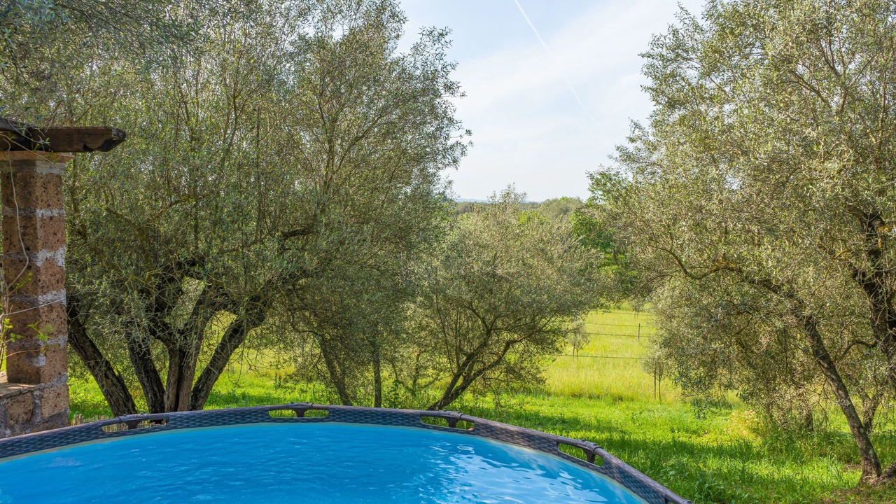 Photo of Outdoor in Vetralla