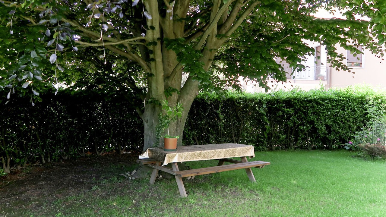 Photo of Outdoor in Omegna