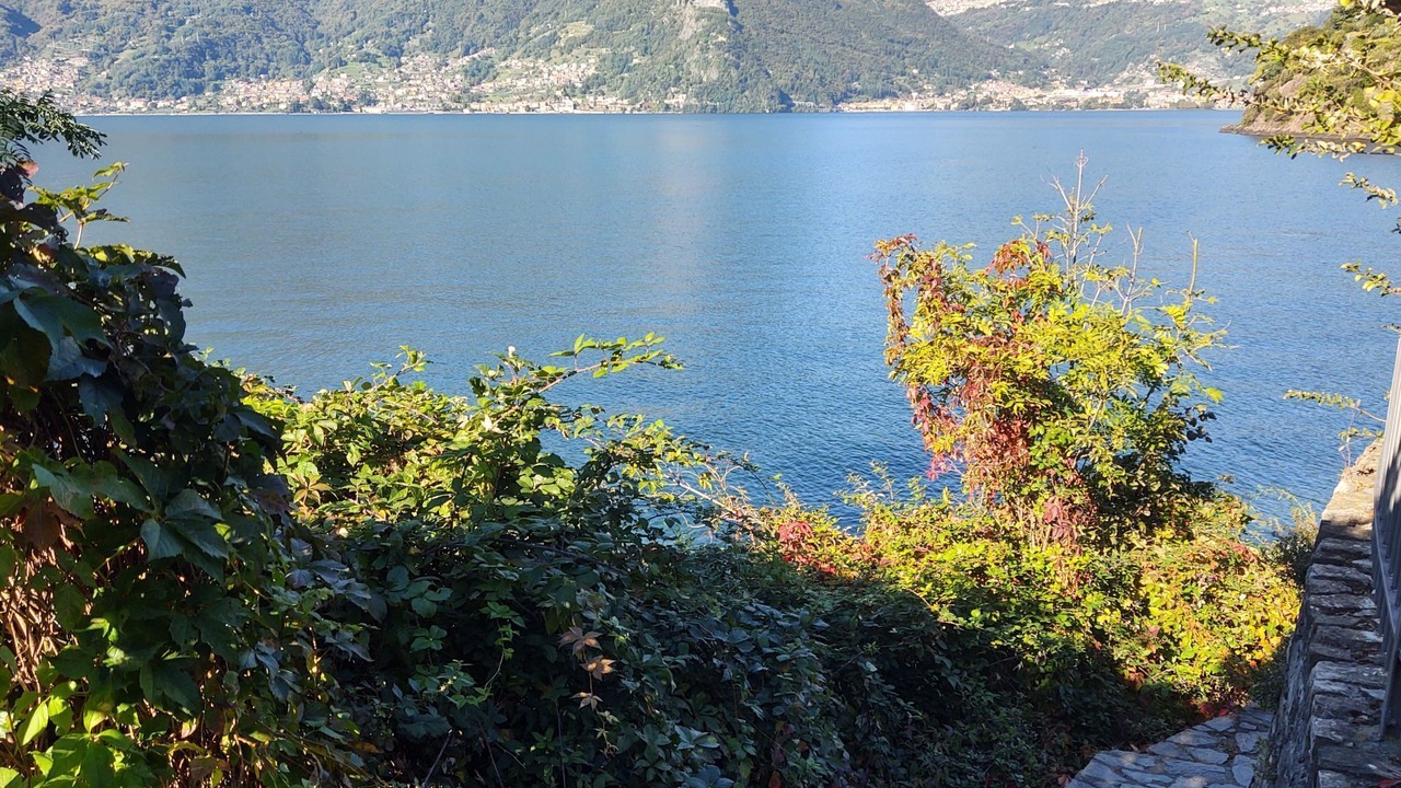 Photo of Others in Olgiasca