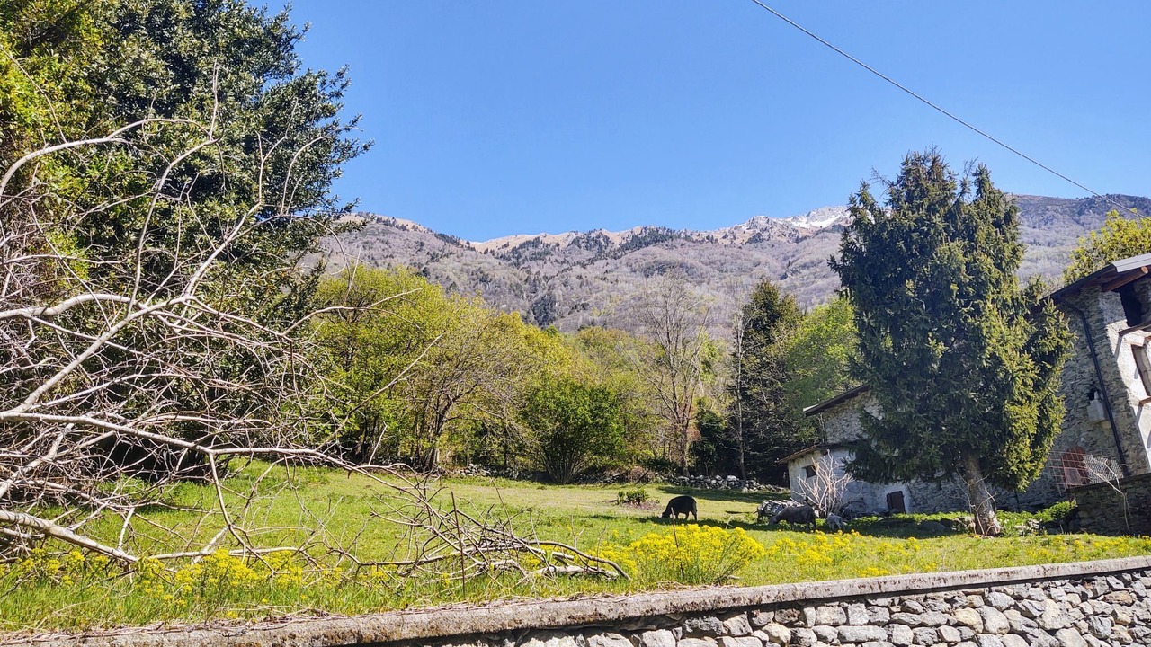 Photo of Others in Cercino