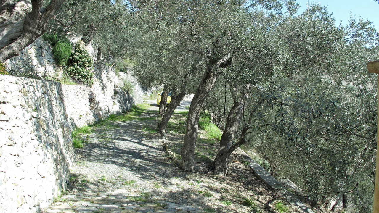 Photo of Outdoor in Varigotti