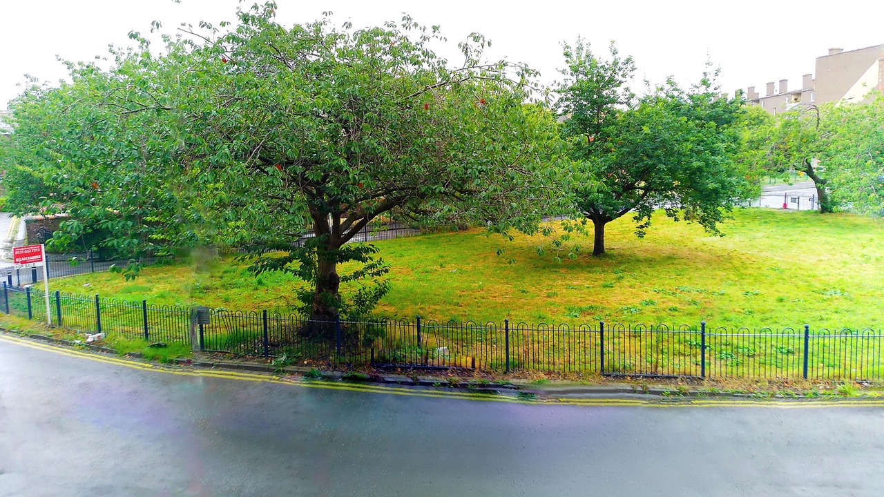 Photo of Outdoor in Gorgie