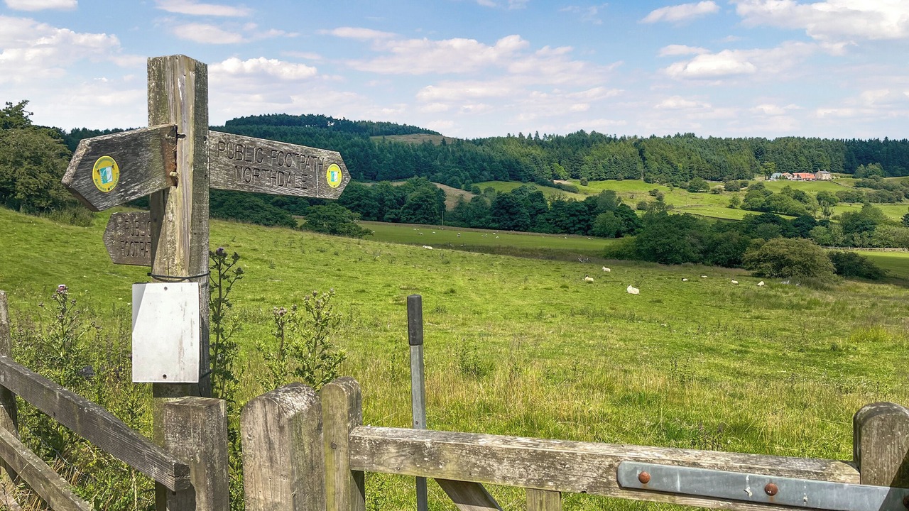 Photo of Others in North York Moors National Park