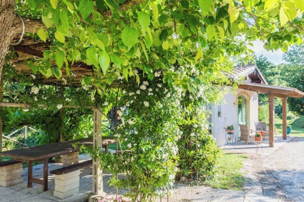 Photo of Outdoor in Mondavio