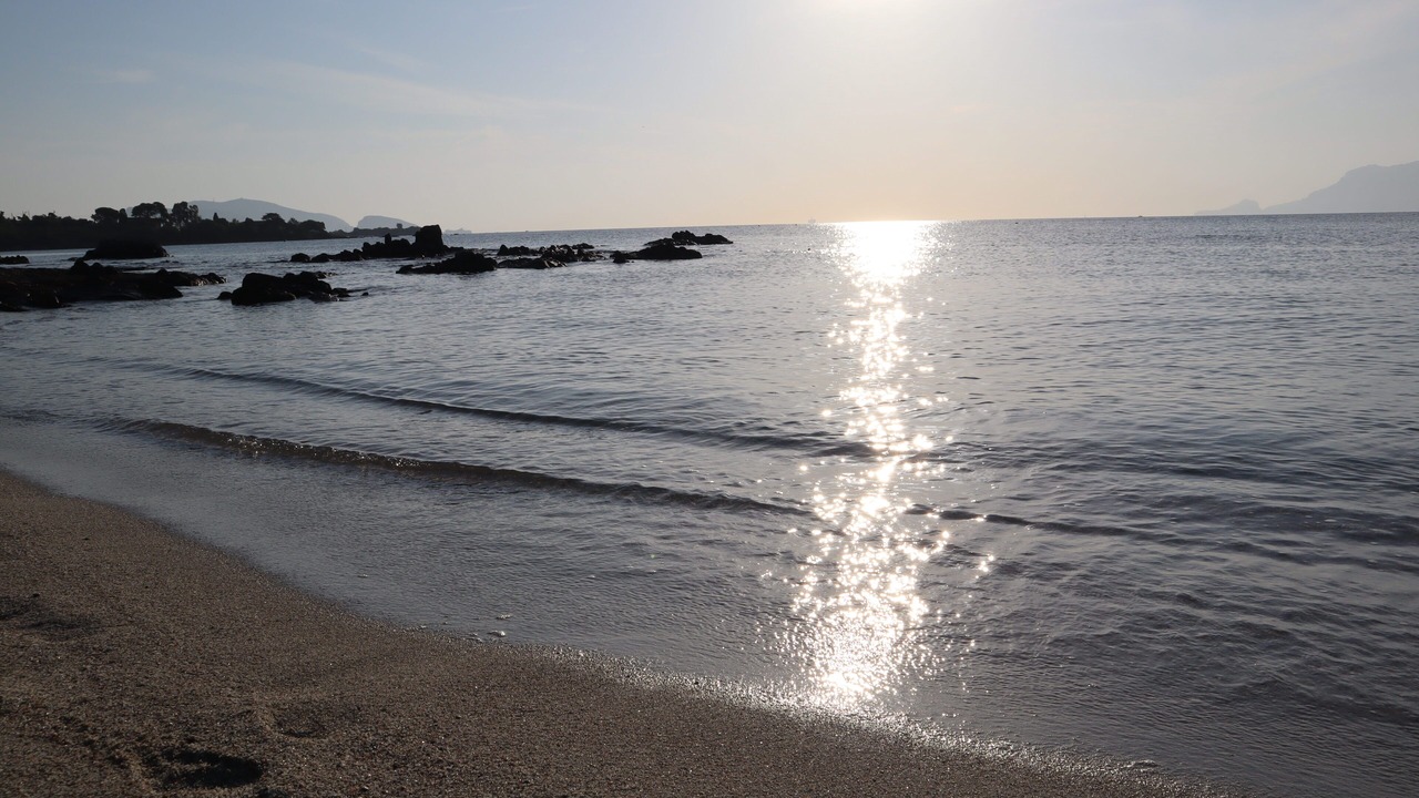 Photo of Others in Olbia