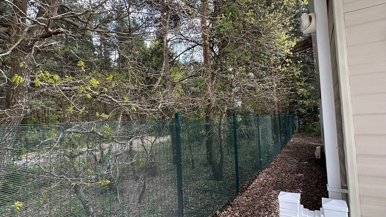 Photo of Outdoor in Ringwood