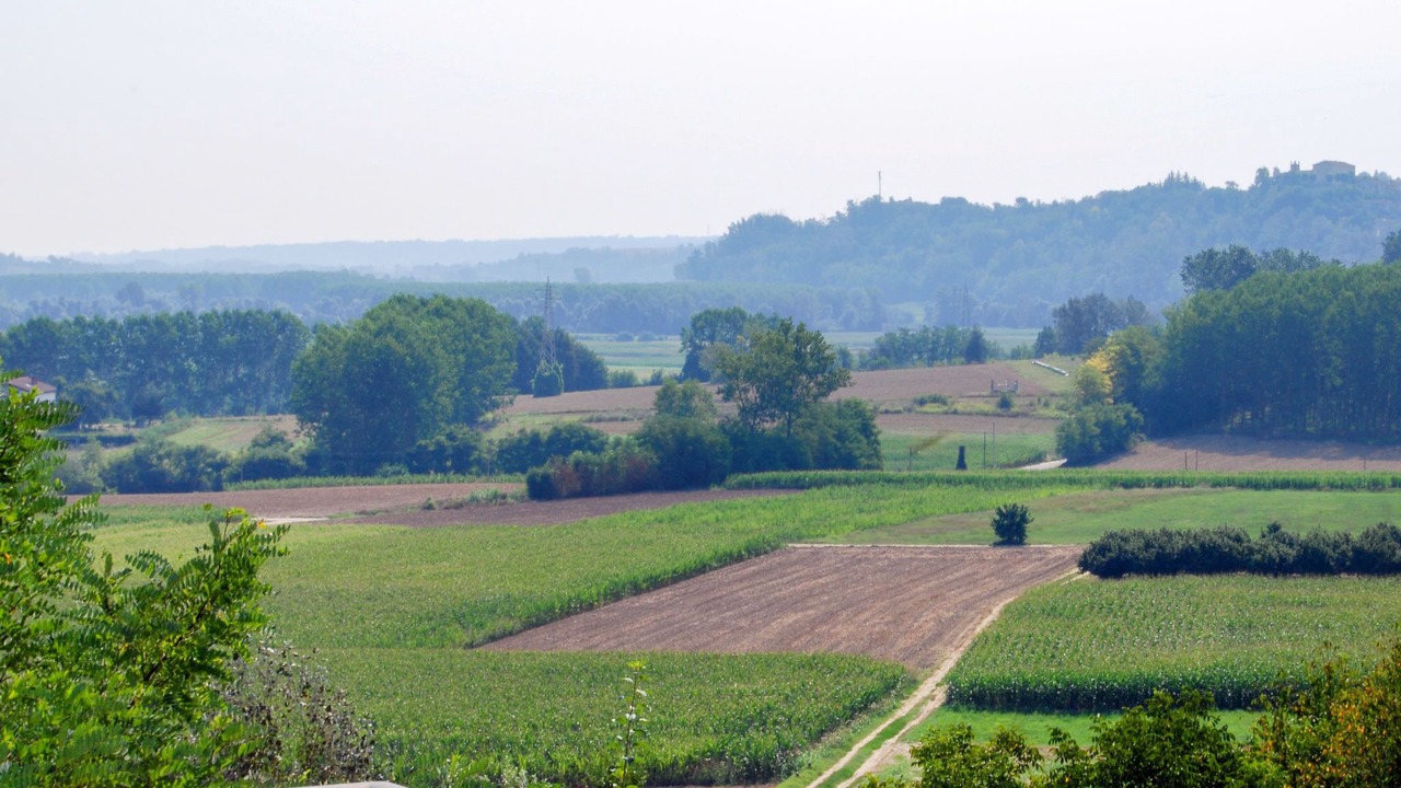 Photo of Others in Azzano d'Asti