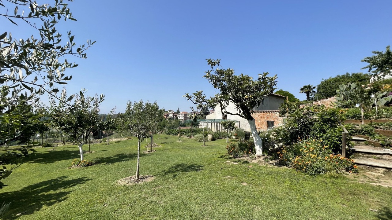 Photo of Others in Montechiaro dʼAsti