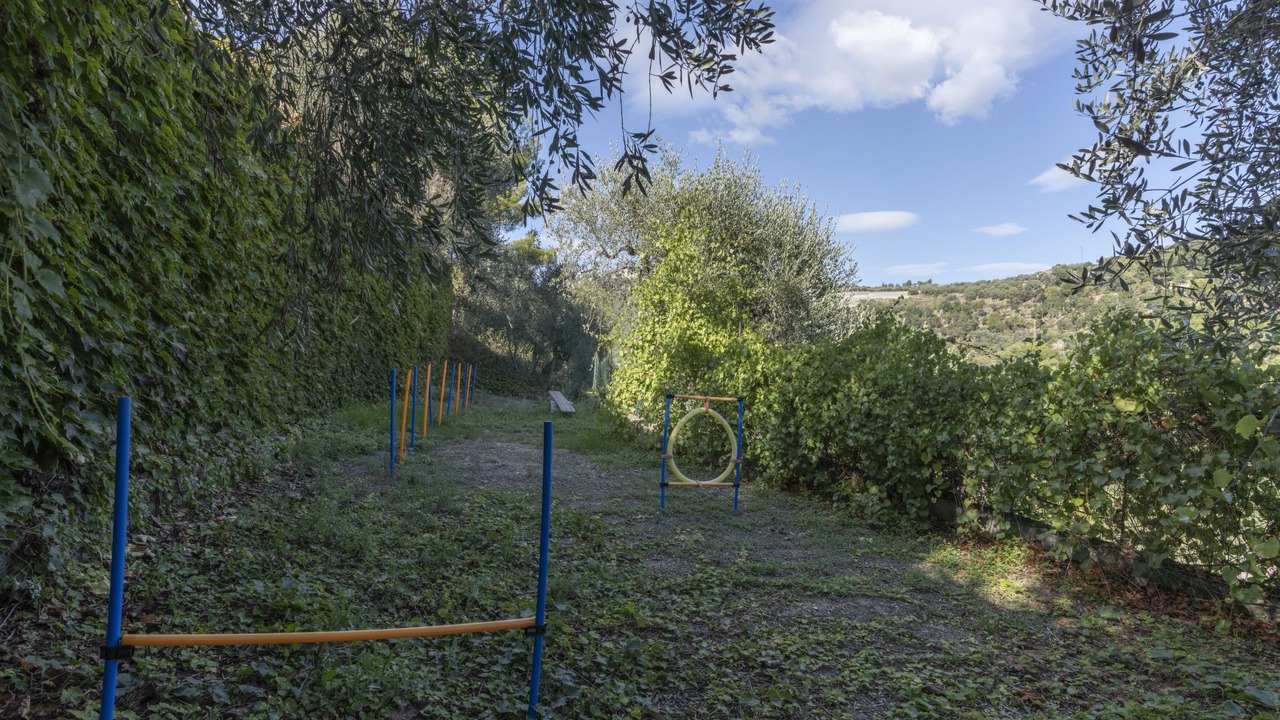 Photo of Outdoor in Cipressa