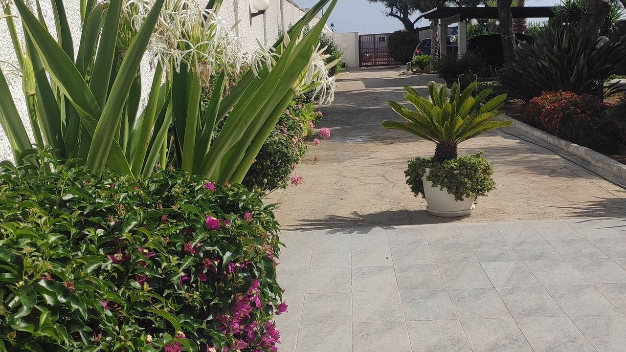 Photo of Outdoor in Bari