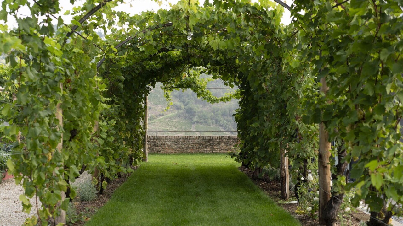 Photo of Outdoor in Santo Stefano Belbo