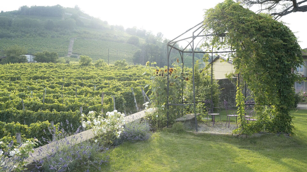 Photo of Outdoor in Santo Stefano Belbo