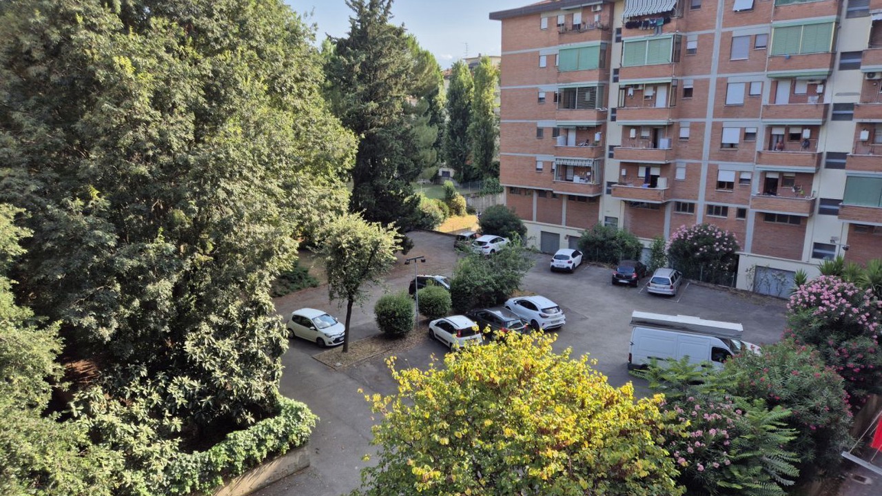 Photo of Outdoor in Isolotto