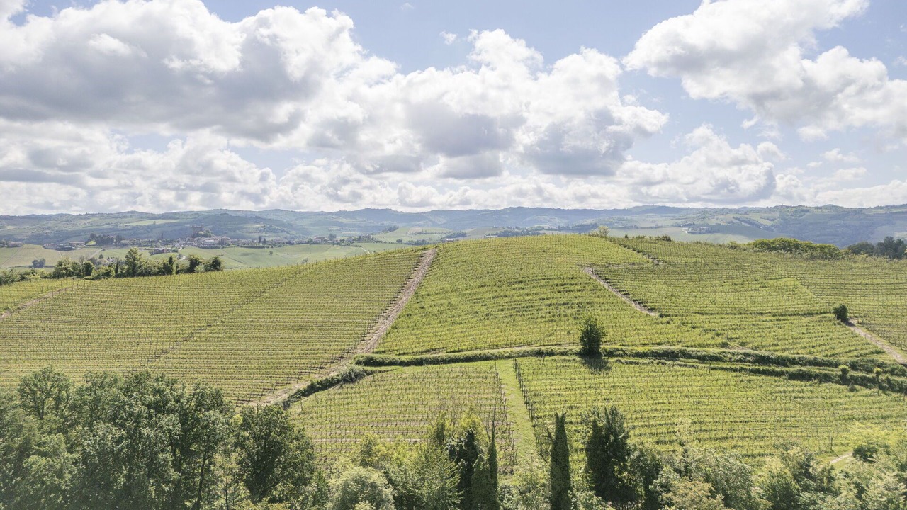 Photo of Outdoor in Monforte d'Alba