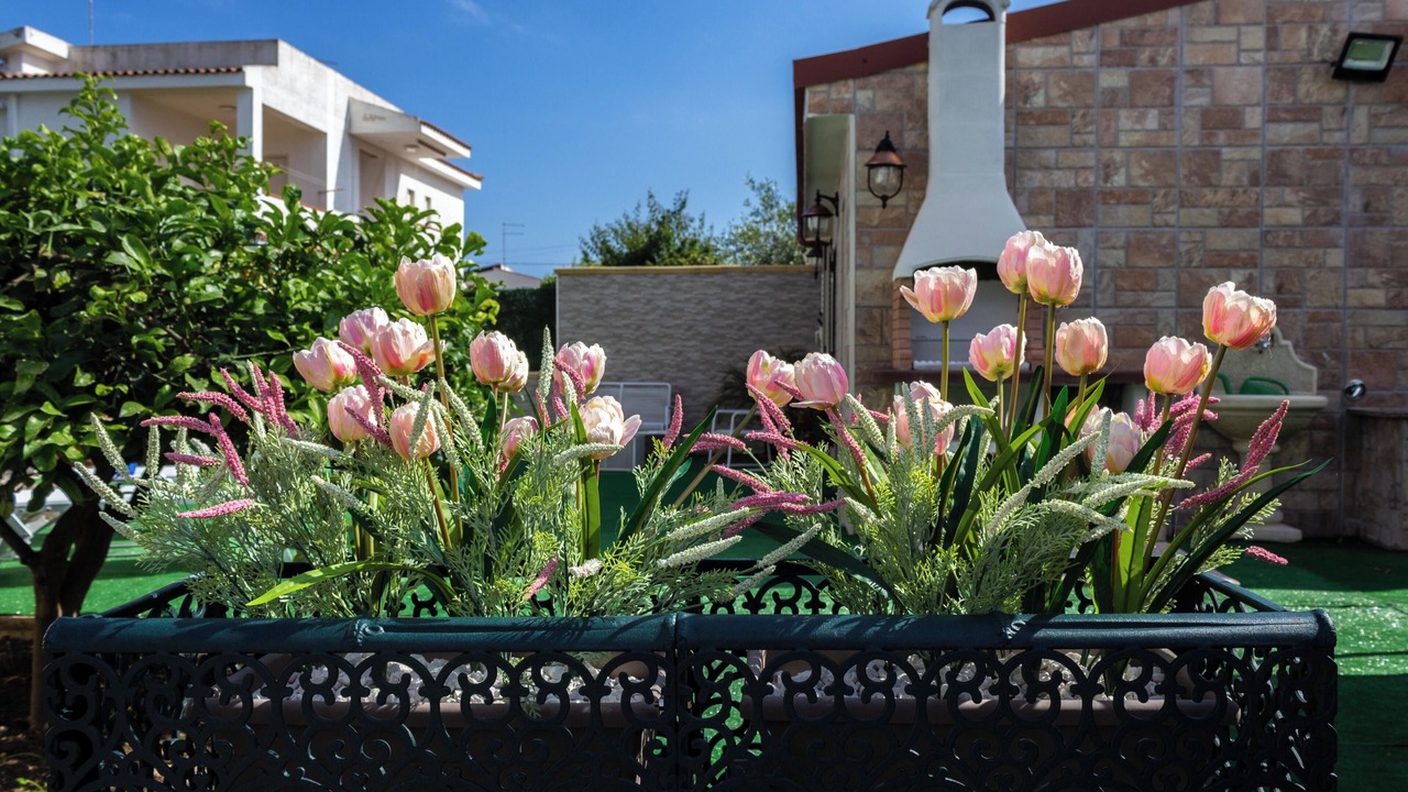 Photo of Outdoor in Arenella