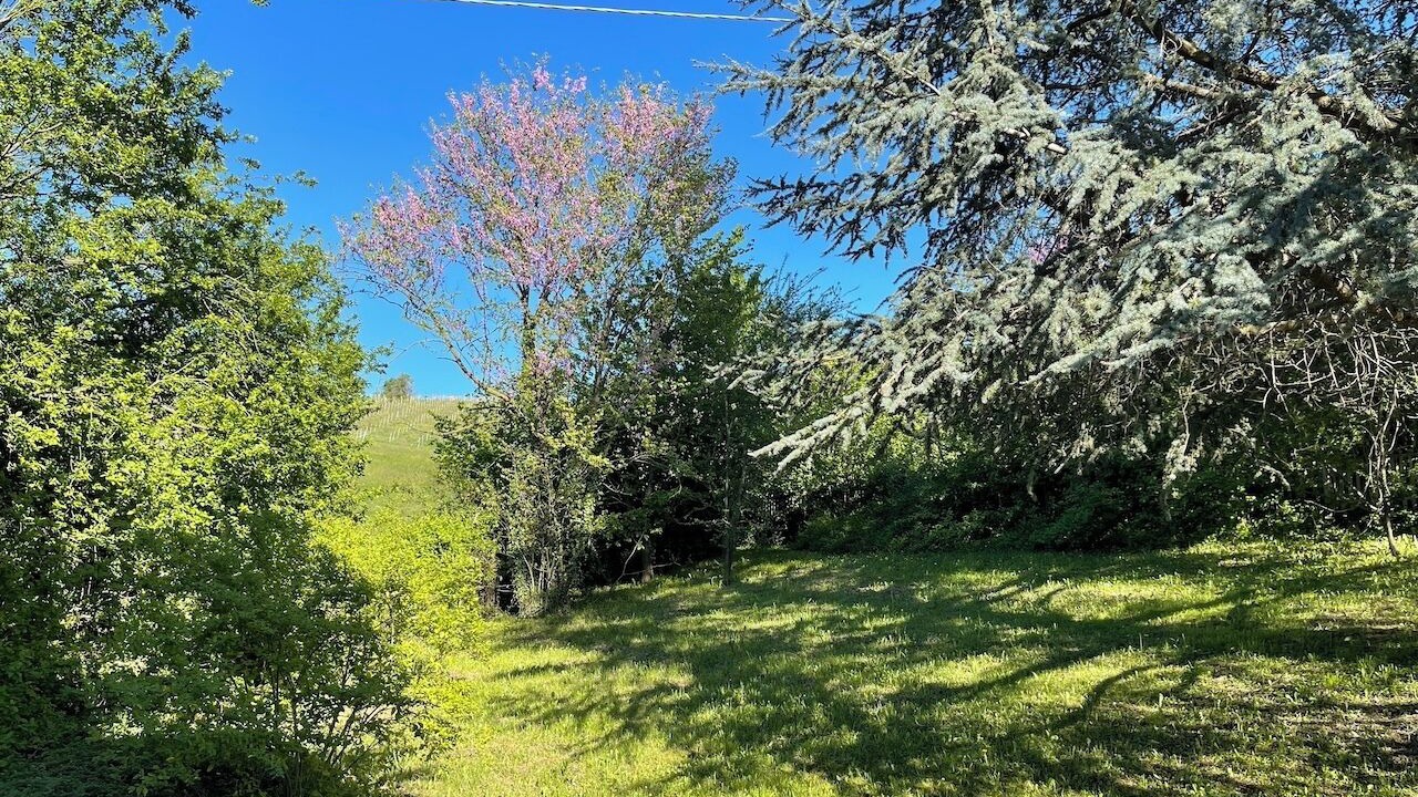 Photo of Outdoor in Dogliani