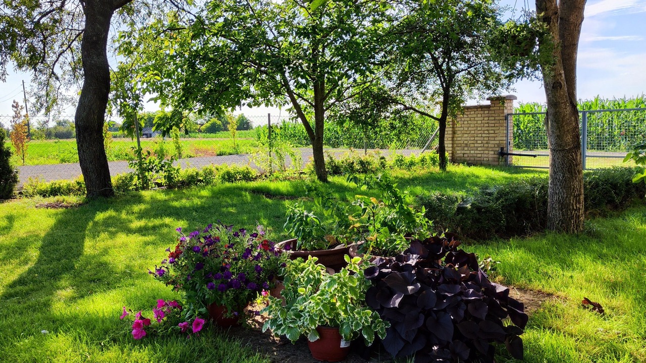 Photo of Outdoor in Vojvodina