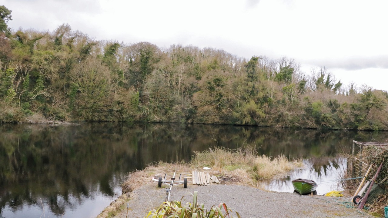 Photo of Others in Belleek