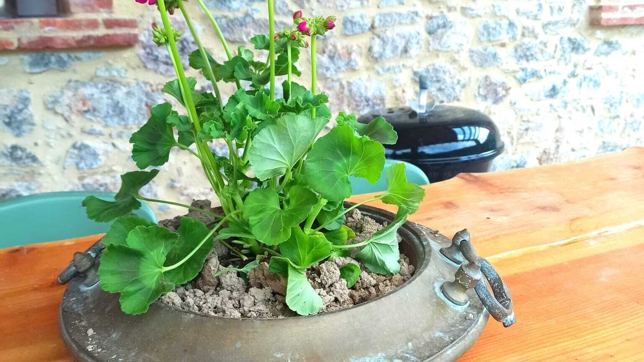 Photo of Outdoor in Vicopelago