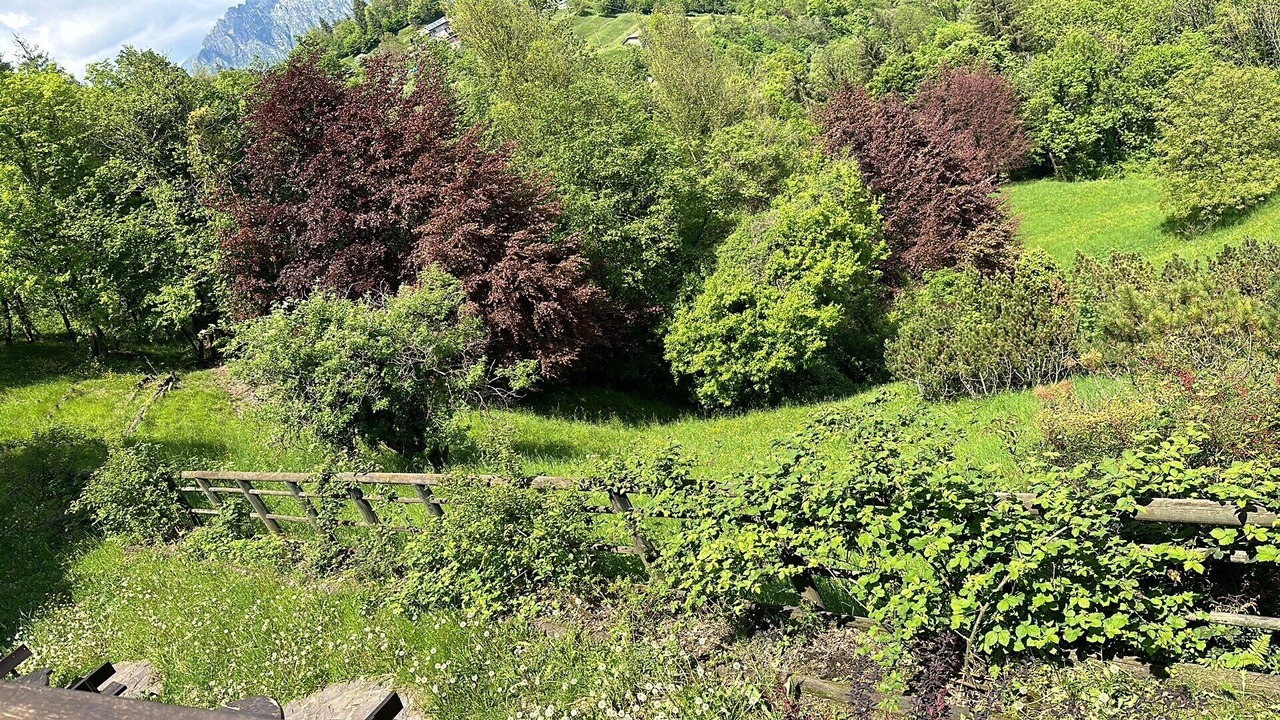 Photo of Outdoor in Treviso Bresciano