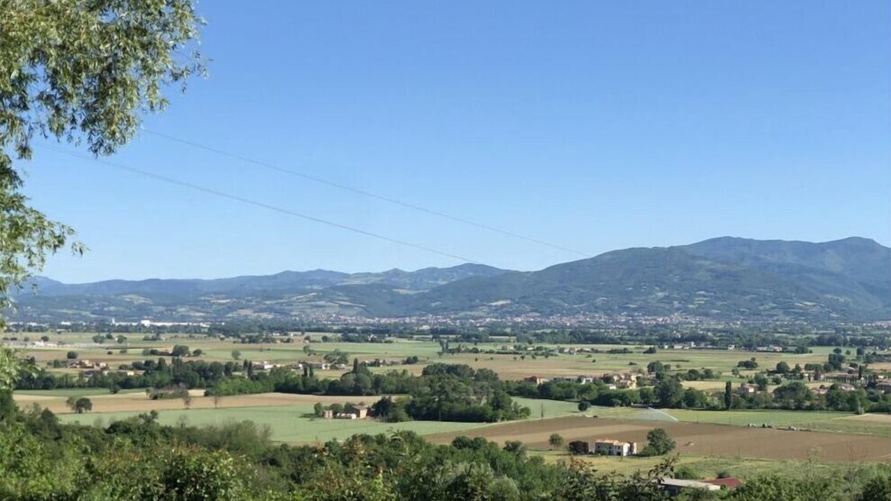 Photo of Others in Citerna