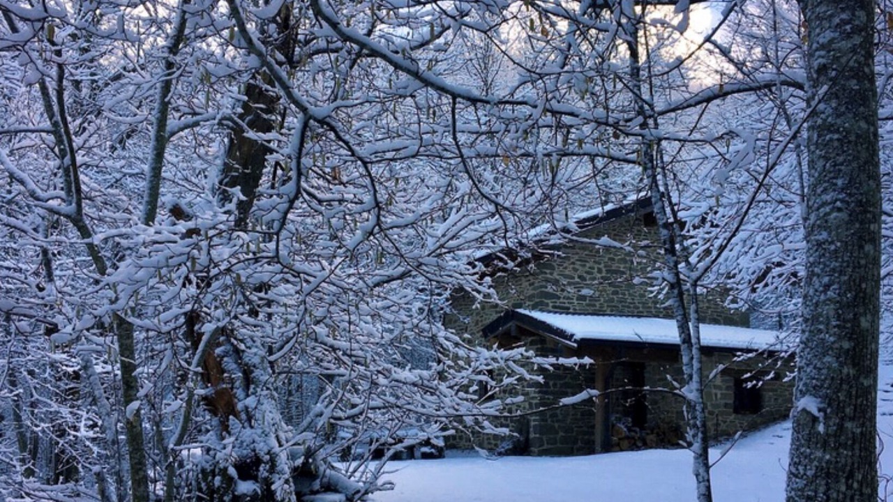 Photo of Outdoor in Borgo Val di Taro