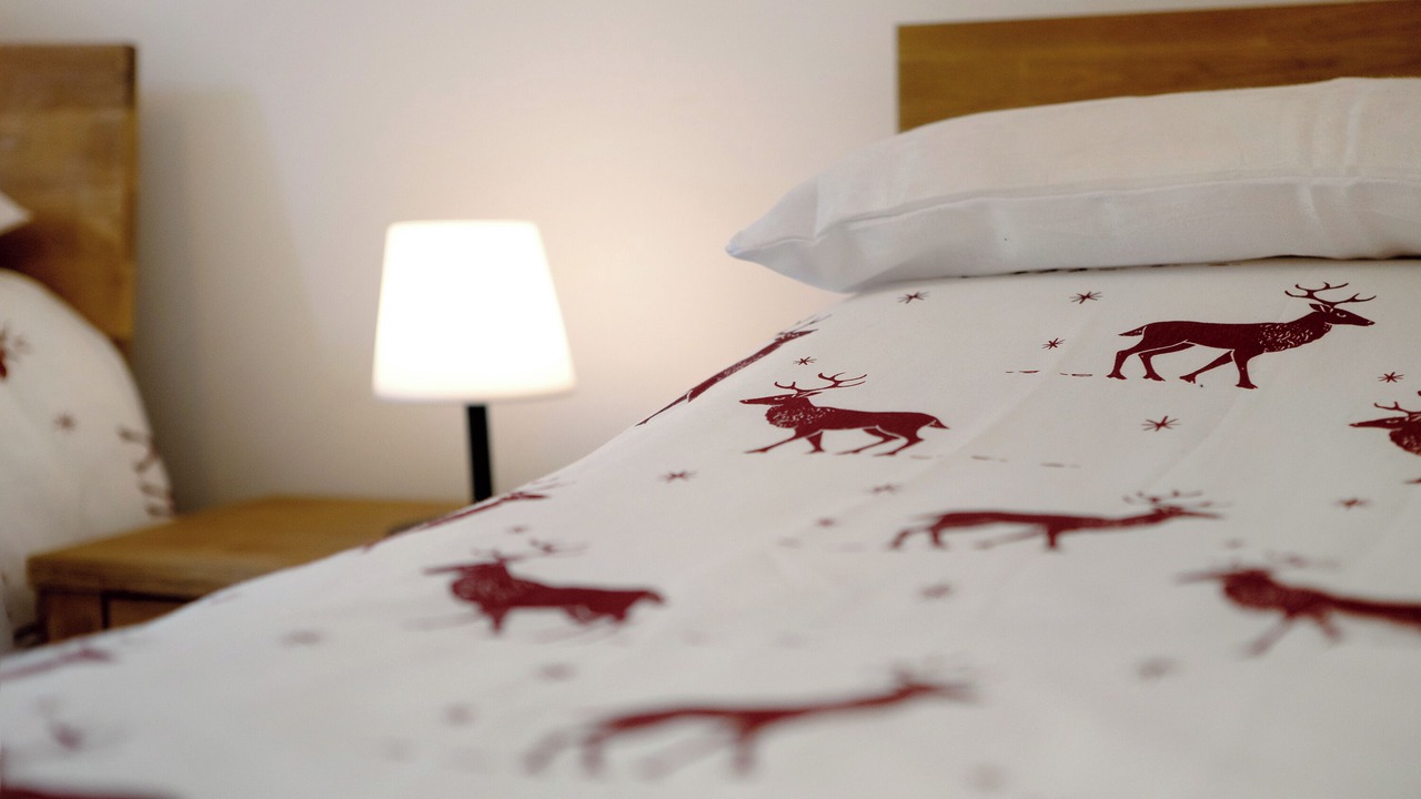 Photo of Bedroom in Courmayeur