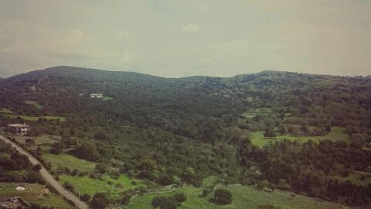 Photo of Others in Nughedu Santa Vittoria