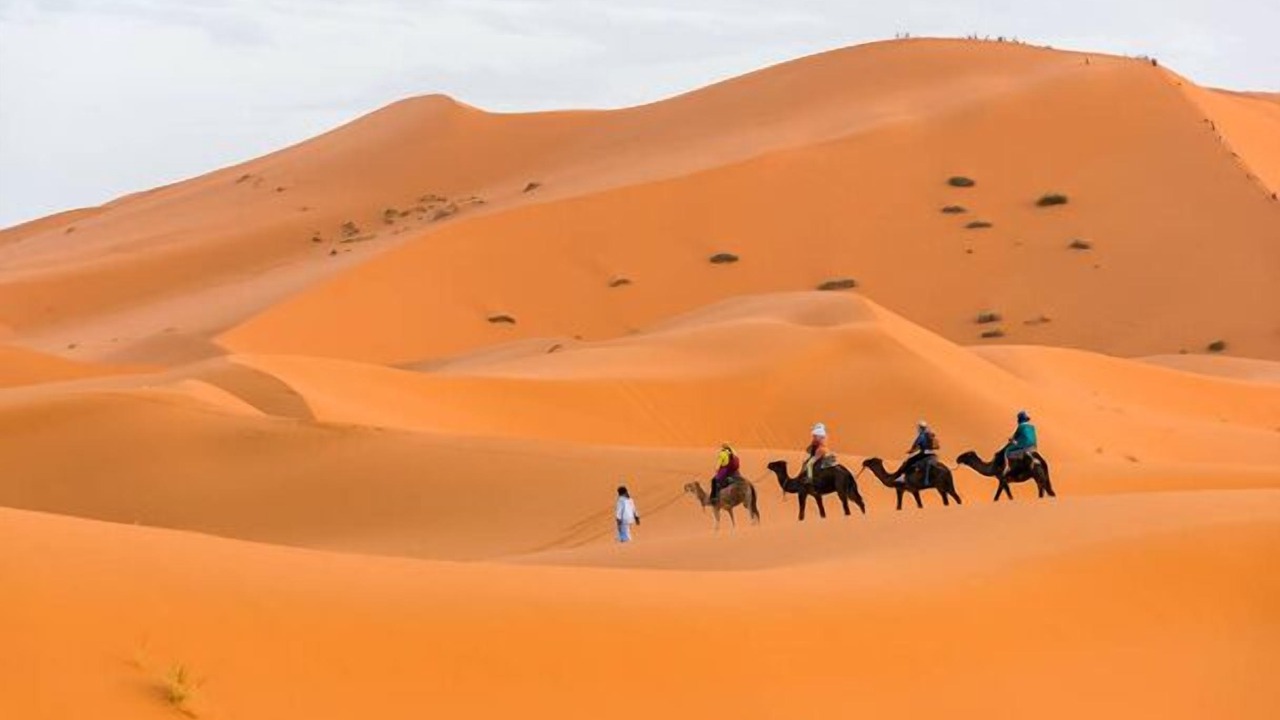 Photo of Others in Taouz