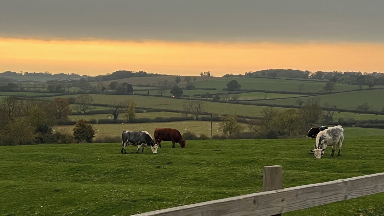 Photo of Others in Lower Boddington