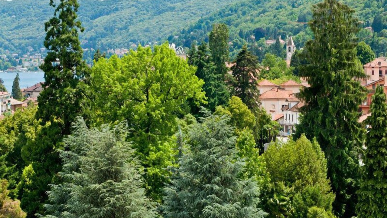 Photo of Others in Baveno