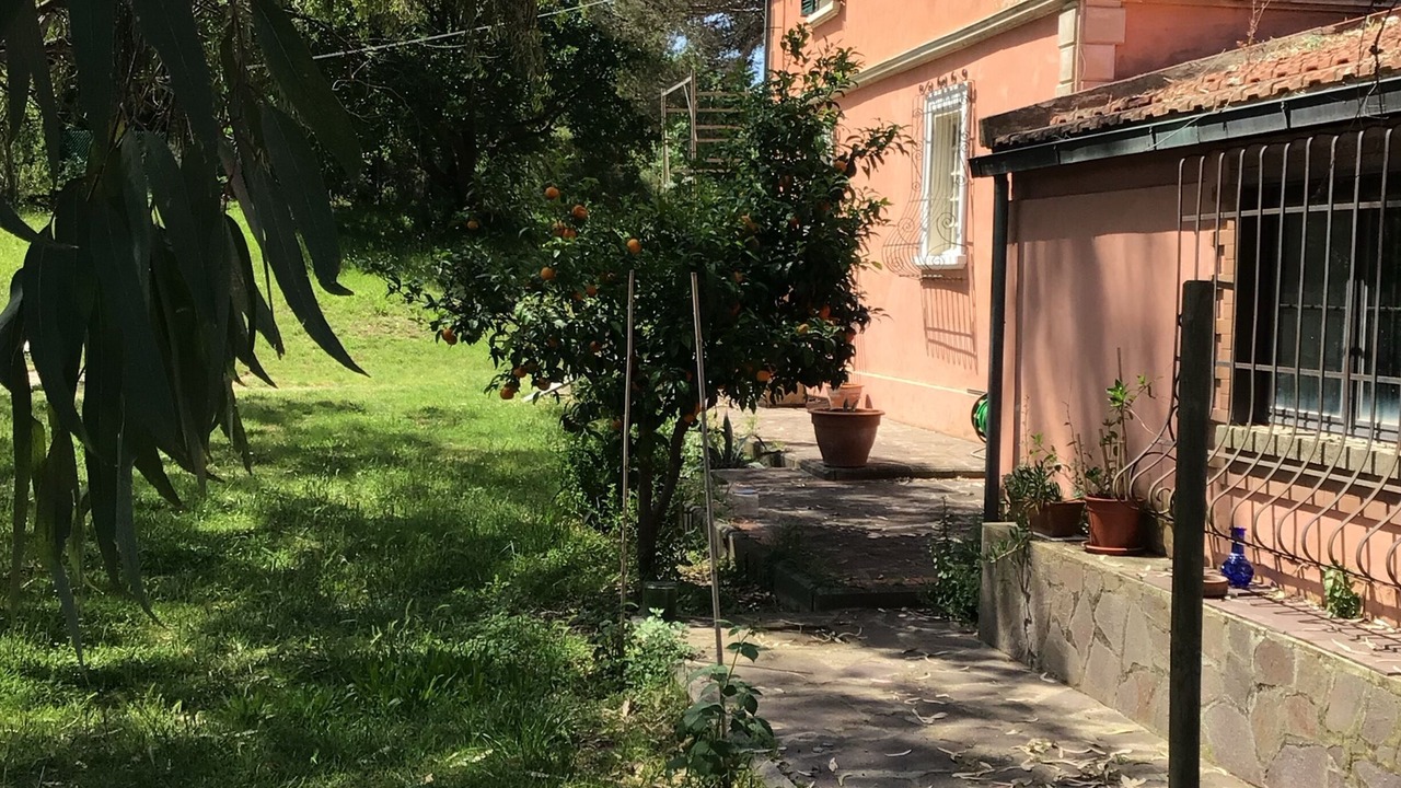 Photo of Outdoor in Livorno