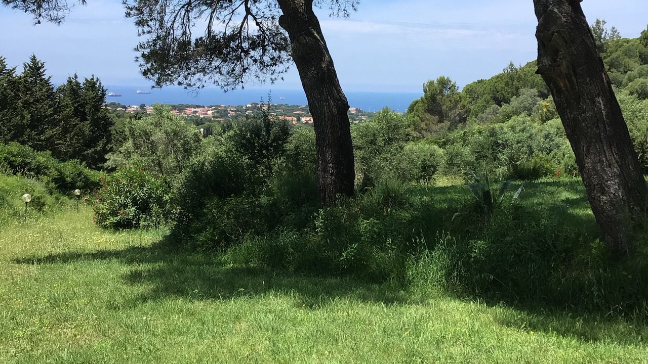 Photo of Outdoor in Livorno