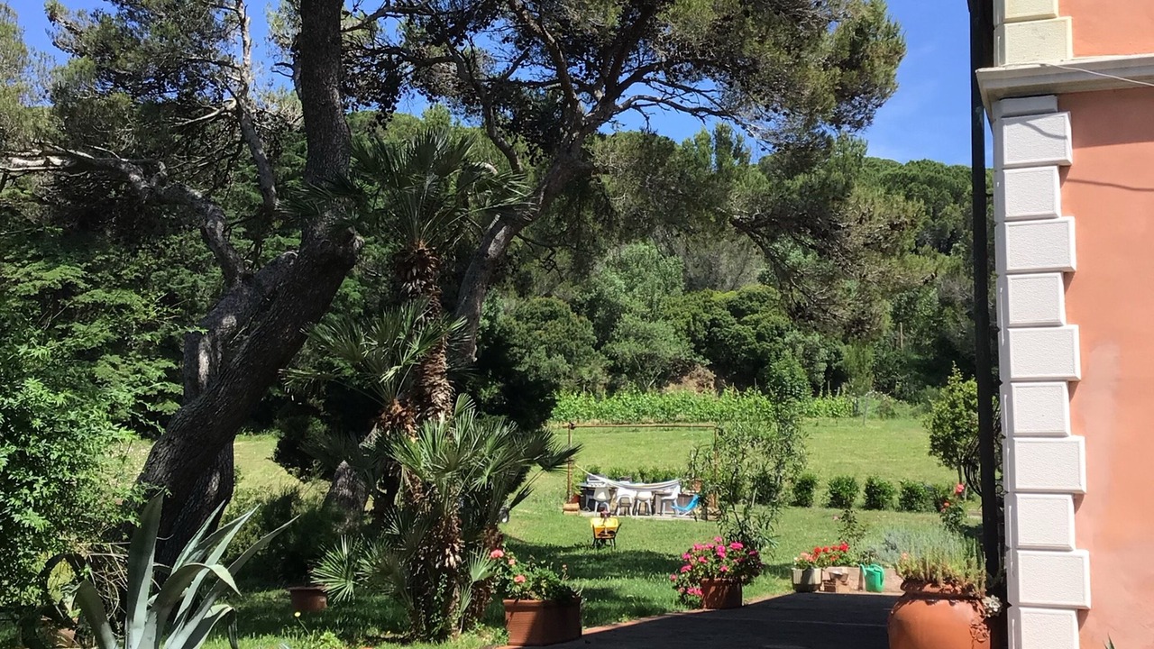 Photo of Outdoor in Livorno