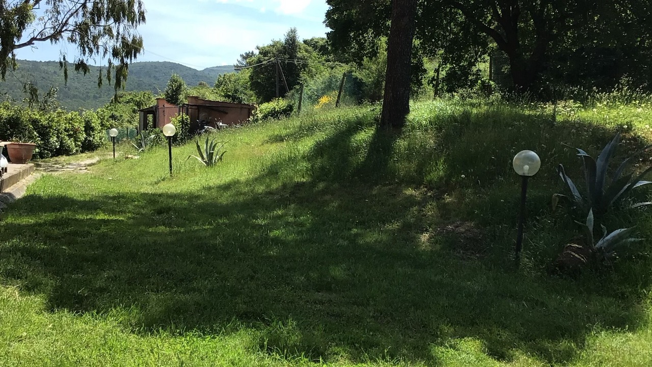 Photo of Outdoor in Livorno