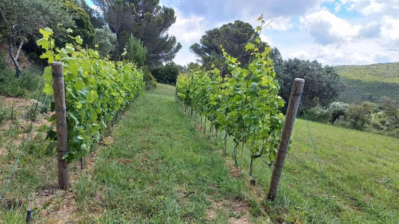 Photo of Outdoor in Livorno