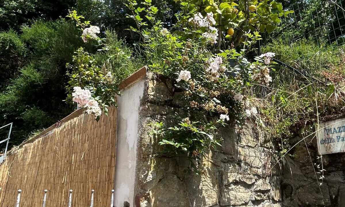 Photo of Outdoor in Giugnano