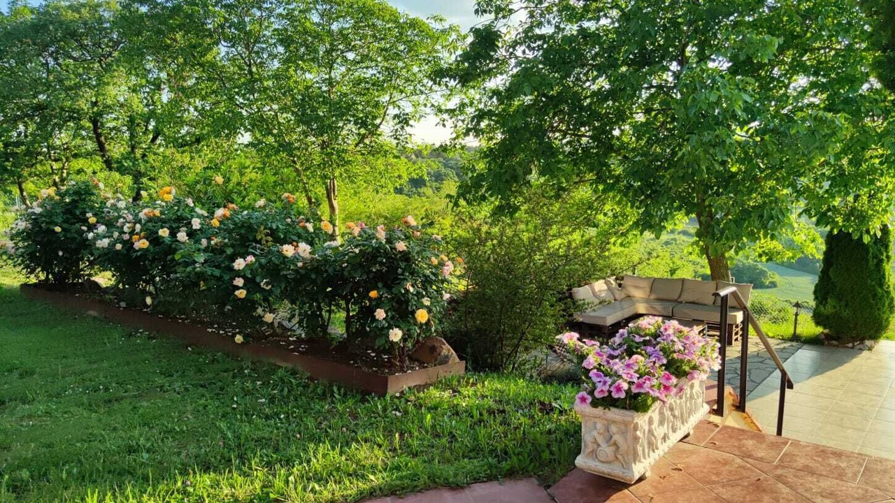 Photo of Outdoor in Petrovaradin