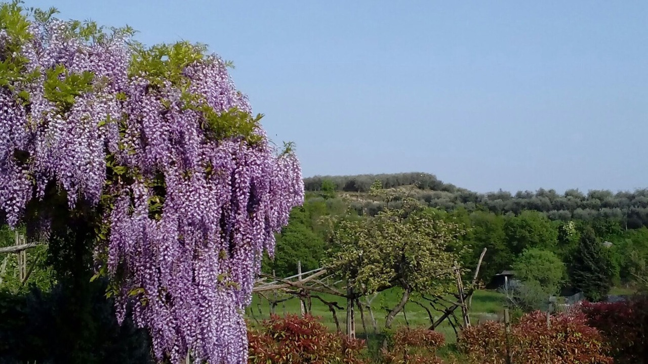 Photo of Outdoor in Tacconi