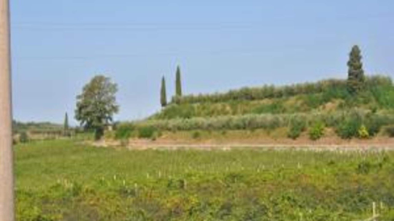 Photo of Others in Tacconi
