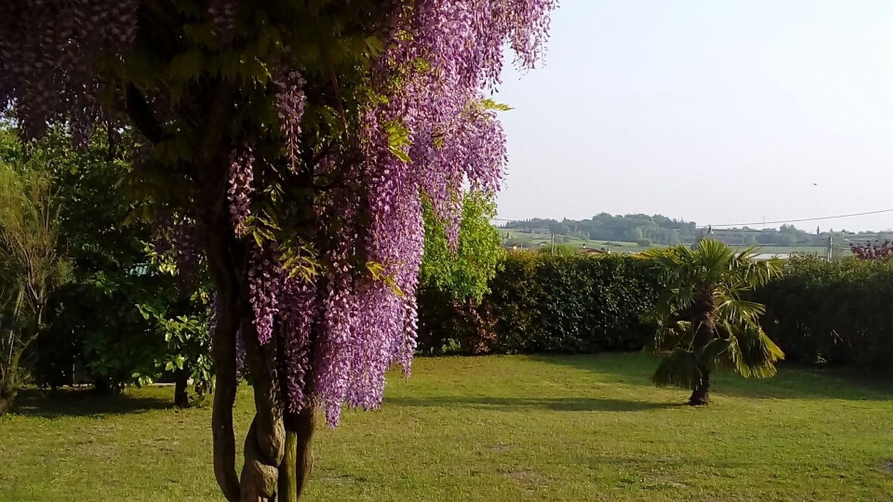 Photo of Outdoor in Tacconi