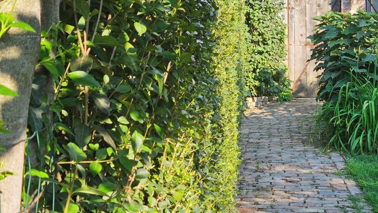 Photo of Outdoor in Novi Beograd