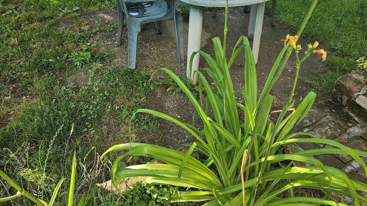 Photo of Outdoor in Novi Beograd