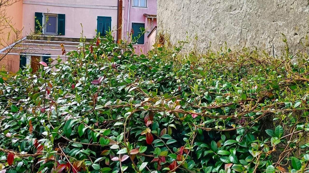 Photo of Outdoor in Brugnato