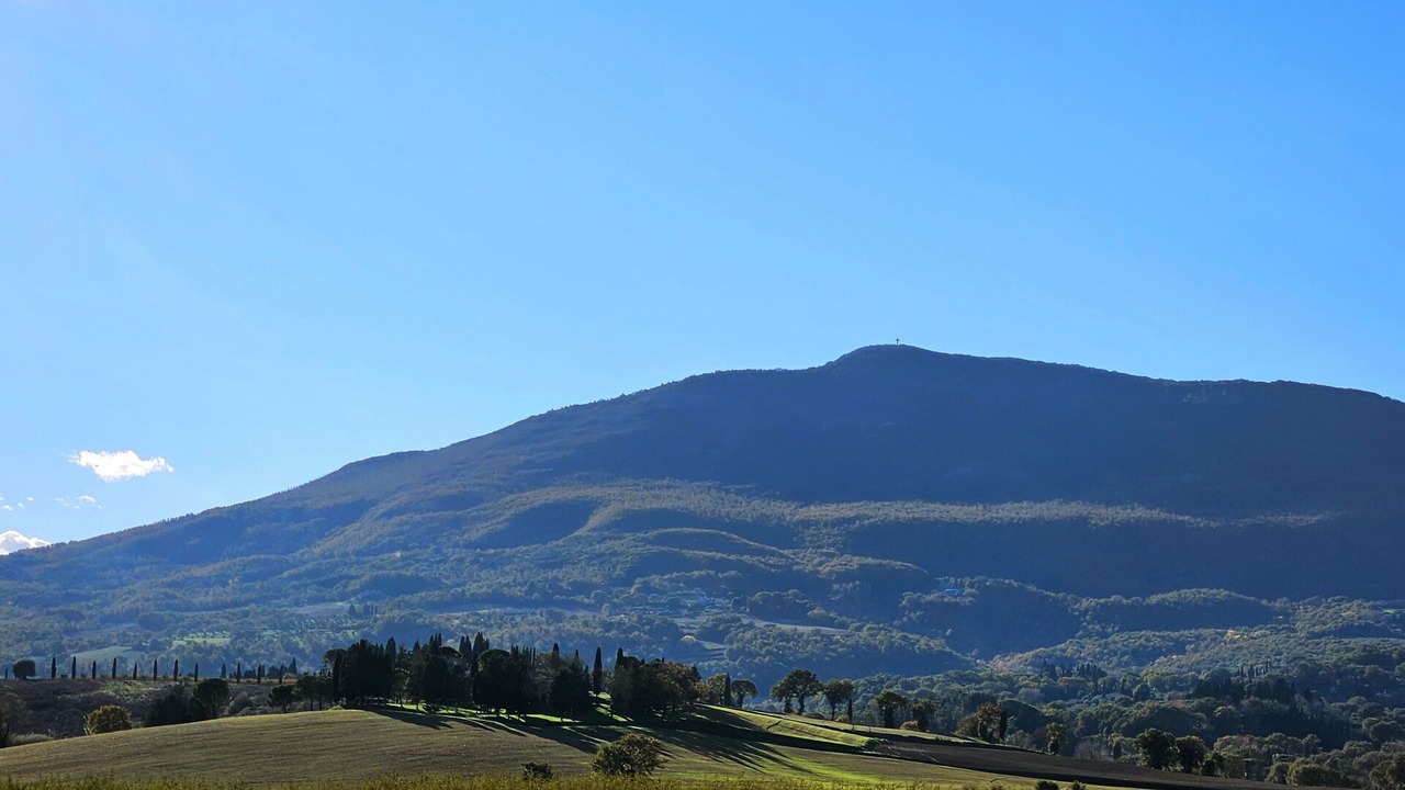 Photo of Others in Cetona