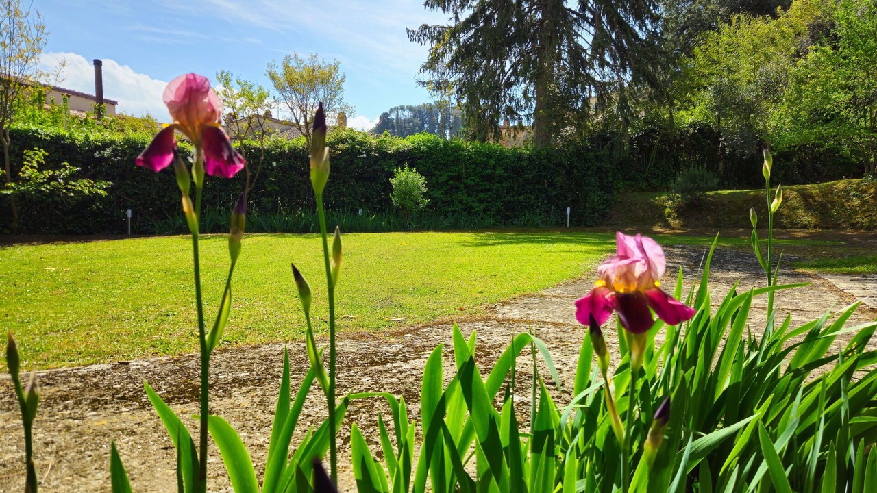 Photo of Outdoor in Cetona