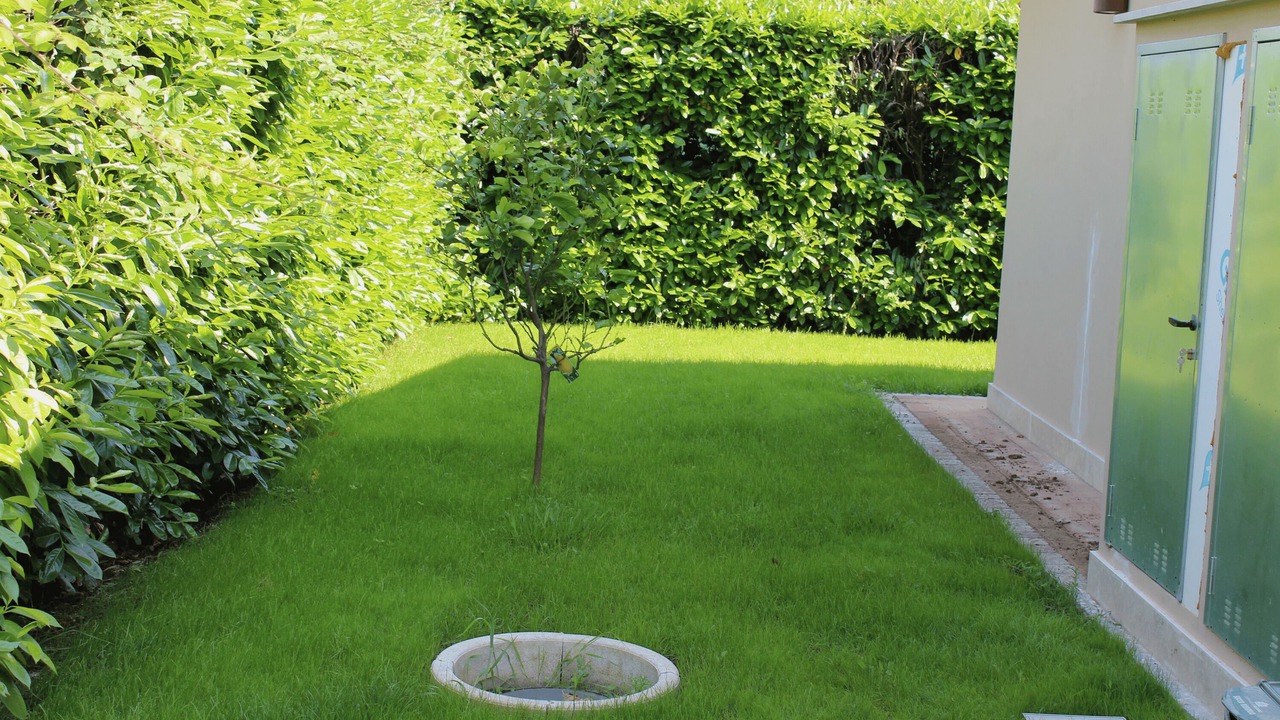 Photo of Outdoor in Lake Bracciano