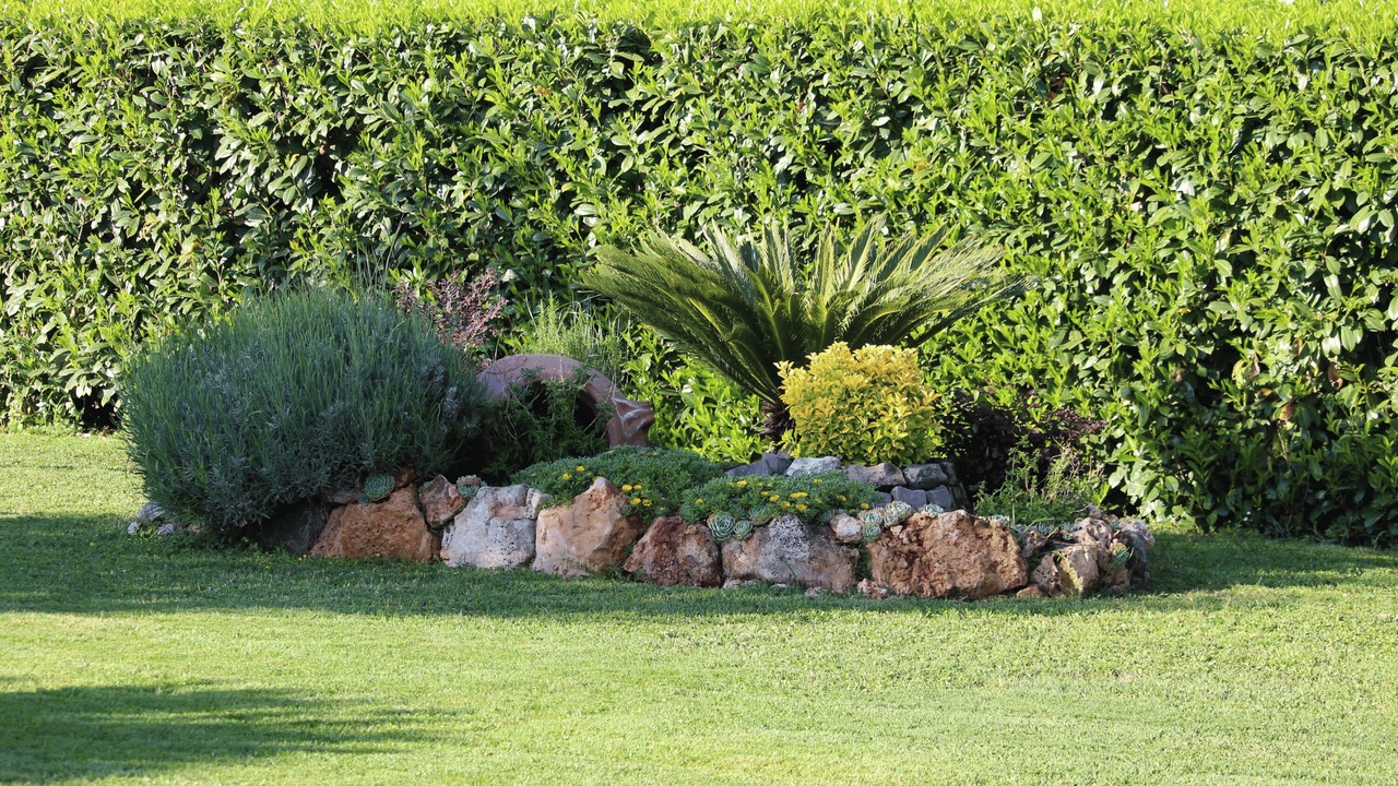 Photo of Outdoor in Lake Bracciano