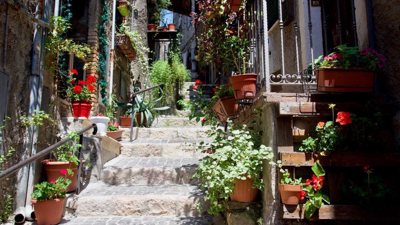 Photo of Outdoor in Paliano